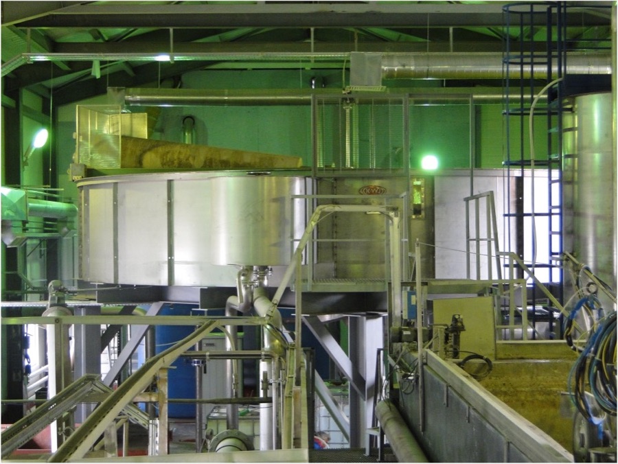 Dairy production